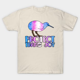 Protect Trans Joy T-Shirt